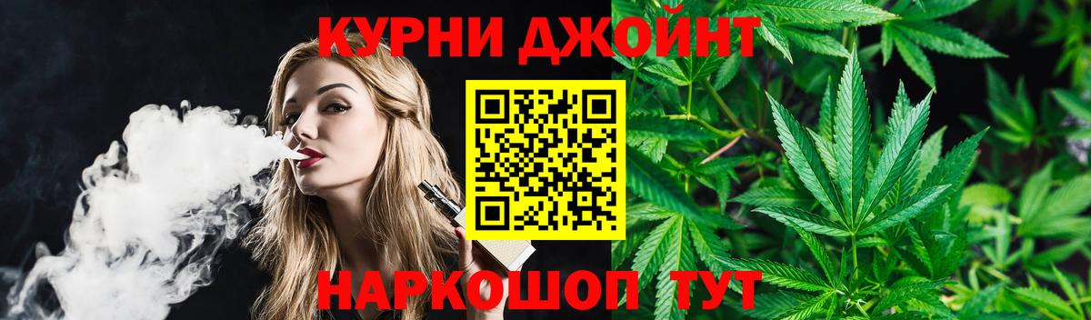 Каннабис планчик Чебаркуль